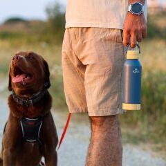 Igloo Hydrate Pro Termos 500ml-MAVİ