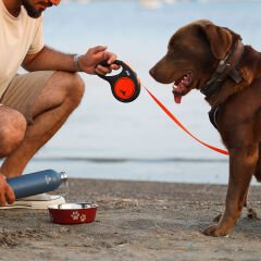 Igloo Hydrate Pro Termos 500ml-MAVİ