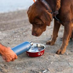 Igloo Hydrate Pro Termos 500ml-MAVİ