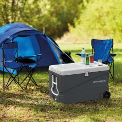 IcePeak CoolCraft 80 Tekerlekli Buzluk 75.2 Litre-FÜME