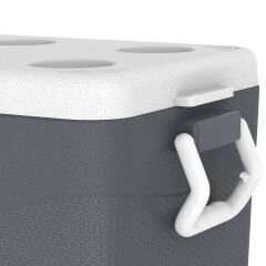 IcePeak CoolCraft 46 Buzluk 41.6 Litre-FÜME