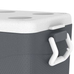IcePeak CoolCraft 46 Buzluk 41.6 Litre-FÜME