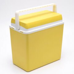 Icepeak SF25 Buzluk 25 Litre-SARI