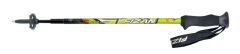 Fizan Compact 3 Section Pole Yeşil Baton