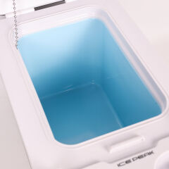 IcePeak Rega Termoelektrikli Buzdolabı 16 Litre