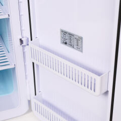 IcePeak ChillCUBE Termoelektrikli Buzdolabı 22 Litre