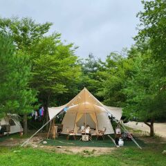 WiimoCamp Milka Büyük Boy Yaşam Çadırı