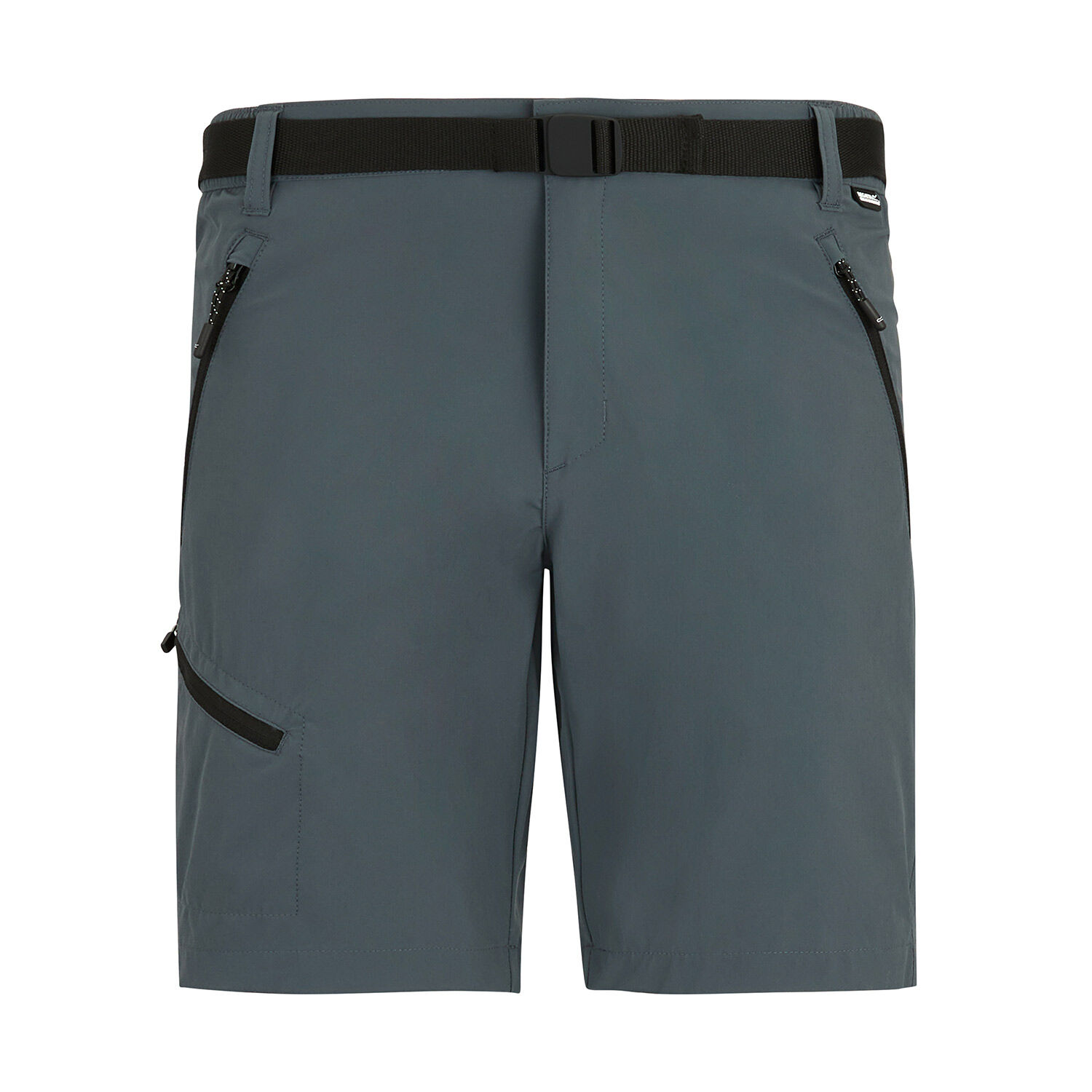 Regatta X-Ert Stretch Erkek Şort-FÜME
