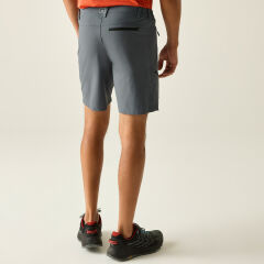 Regatta X-Ert Stretch Erkek Şort-FÜME