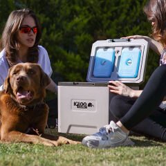 IGLOO CoreMAX 22 Buzluk 22 Litre