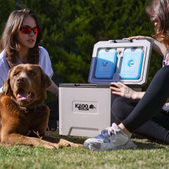 IGLOO CoreMAX 22 Buzluk 22 Litre
