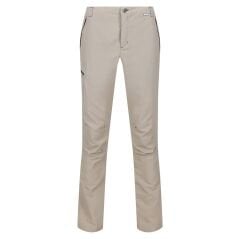 Regatta Leesville Trs II Erkek Pantolon-BEJ