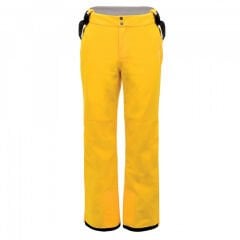 Dare 2b Certify Pant II Erkek Kayak Pantolonu-SARI