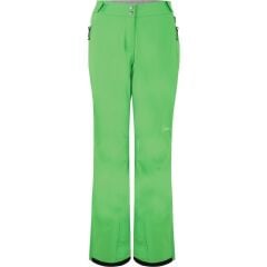 Dare 2b Stand For Pant II Kadın Kayak Pantolonu-YEŞİL